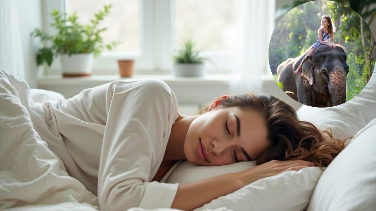 Dream Meaning: स्वप्नात हत्तीवर बसलेले पाहणे शुभ की अशुभ, काय सांगते स्वप्नशास्त्र जाणून घ्या
