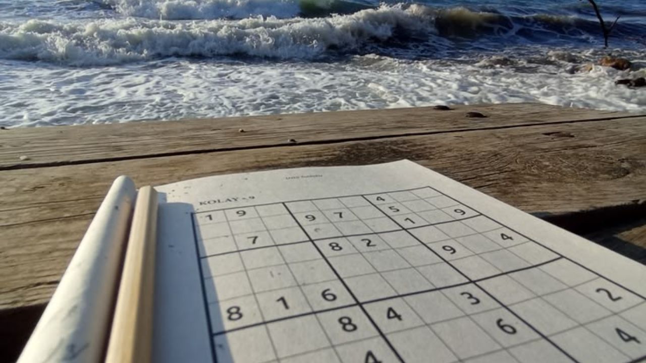 International Sudoku Day : मेंदूला तंदुरुस्त ठेवणाऱ्या अंकांचा अनोखा खेळ; जाणून घ्या याचा रंजक इतिहास आणि त्याचे आरोग्यदायी फायदे