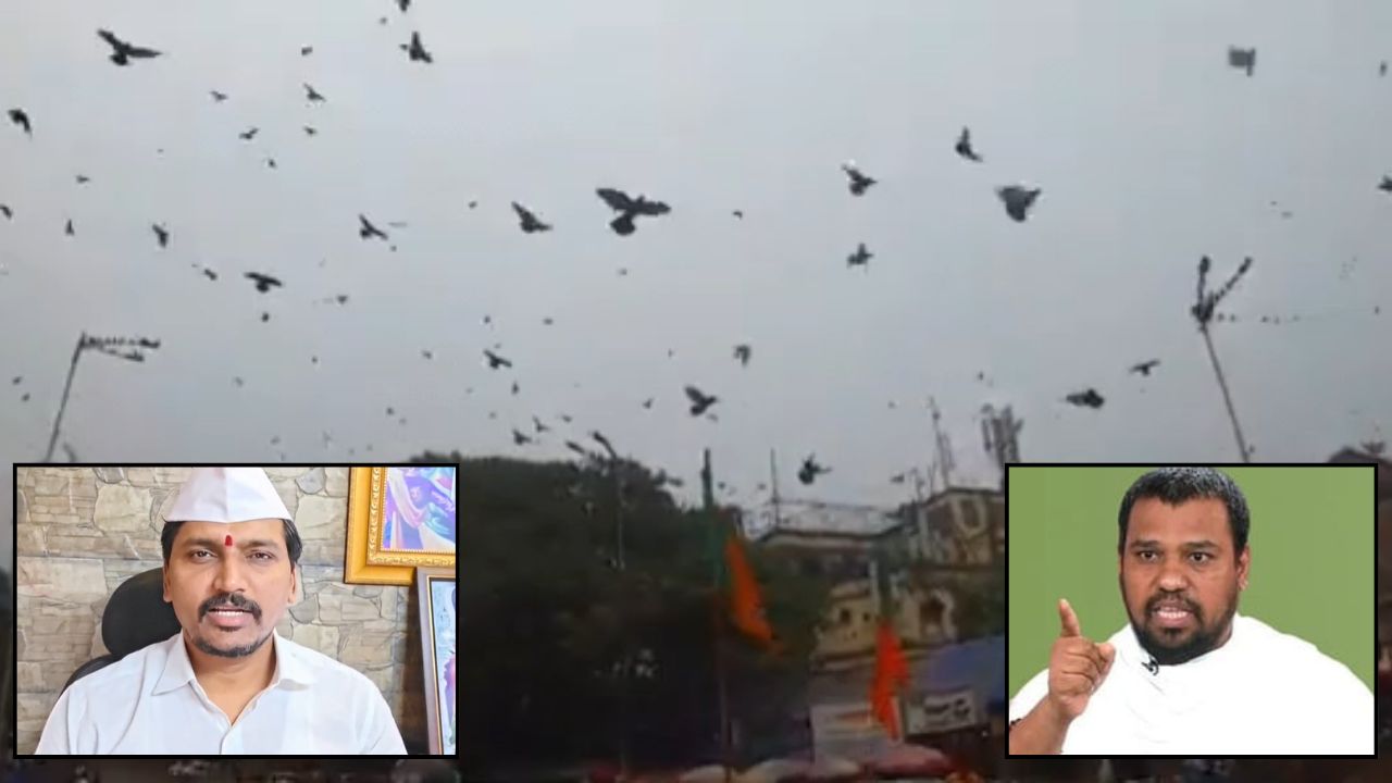 Kabutarkhana Controversy: कबुतरखान्यांवरून पुन्हा ‘फडफड’; निलेशचंद्र विरुद्ध मराठी एकीकरण समिती आमनेसामने
