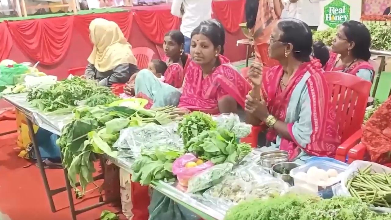 Latur News: रानभाज्यांच्या विक्रीसाठी महिलांची गर्दी! लातूर जिल्हा परिषदेचा मोठा पुढाकार!