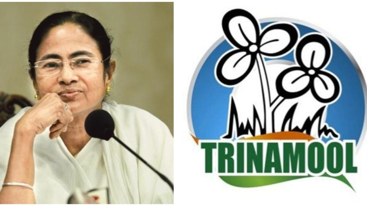 TMC Symbol History: ममता बॅनर्जींच्या वर्मावर घाव; स्वतः रेखाटलेले ‘तृणमूल’चे चिन्ह का गोठवले?
