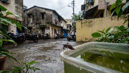सावधान पुणेकर! डेंग्यू-चिकुनगुनियाचा नागरिकांना वेढा; आरोग्य विभागाची डोकेदुखी वाढली, तब्बल १ हजार २६६…