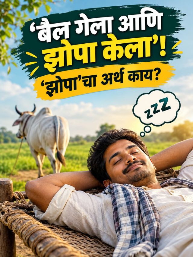 ‘बैल गेला आणि झोपा केला’! ‘झोपा’चा अर्थ काय?