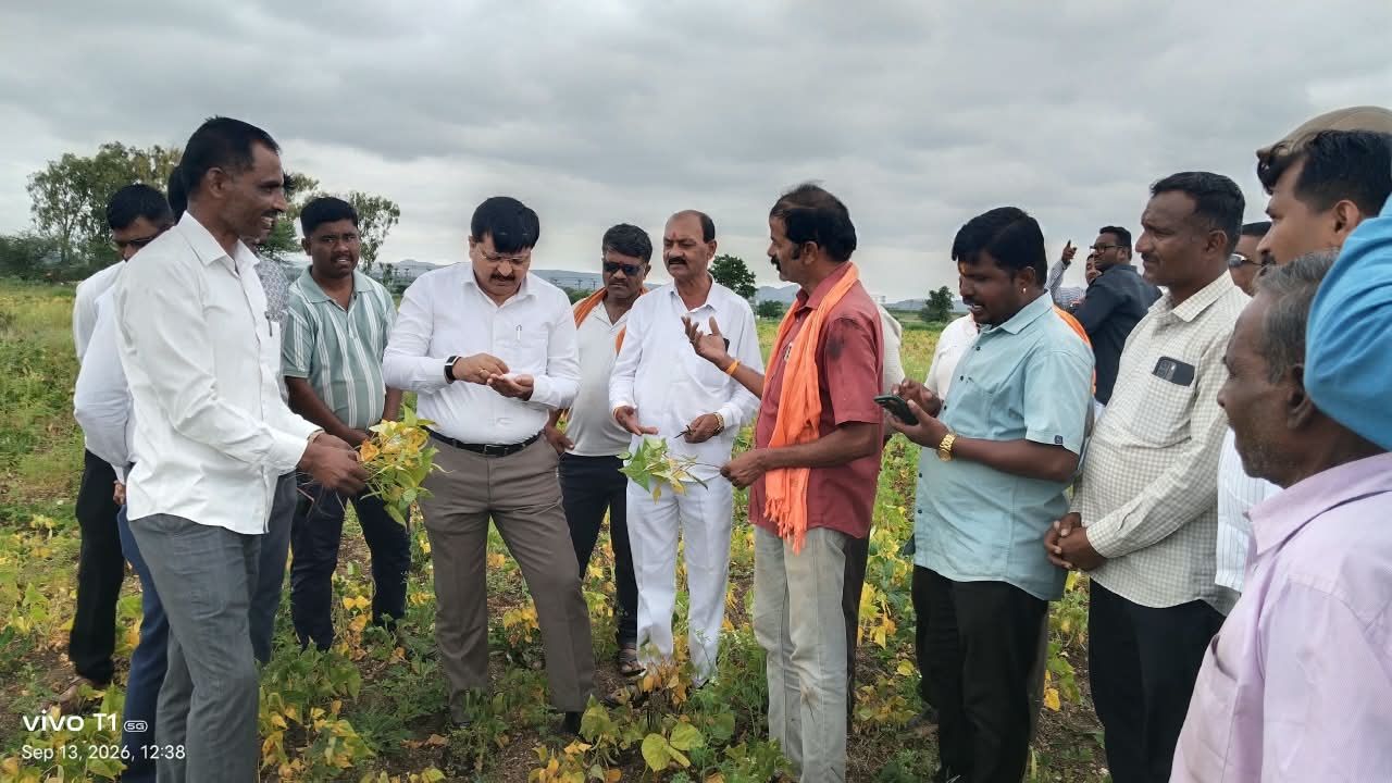 Satara News : ‘वाघ्या घेवड्याचा पीकविम्यात समावेश करण्यासाठी शासनाकडे प्रस्ताव पाठविणार,’ जिल्हाधिकारी संतोष पाटील यांचे आश्वासन