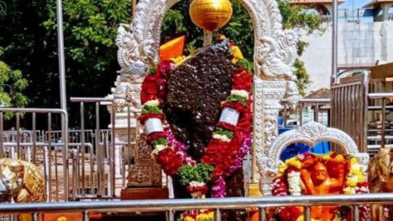 श्रावणातील शेवटच्या शनिवारी शनिशिंगणापूर गजबजले; दर्शनासाठी लांबच लांब रांगा