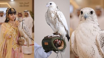 Falcon Auction: भाचीच्या आवडीसाठी काकाने मोजले 3.85 कोटी; अबू धाबीत विकला गेला जगातील सर्वात महागडा पांढरा ससाणा