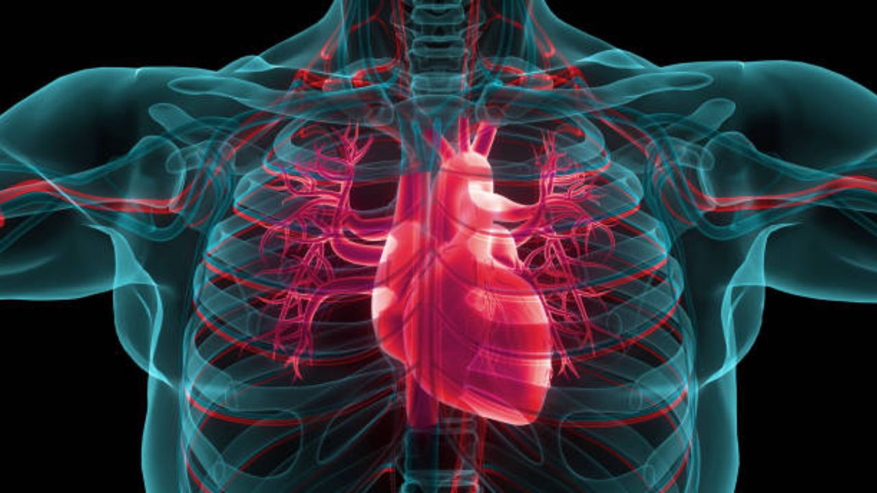 World Heart Day: गोल्डन अवरमध्ये स्टेमी संजीवनी! ५७ लाख ईसीजी तपासण्यांत ३४ हजार रुग्ण ‘स्टेमी क्रिटिकल’
