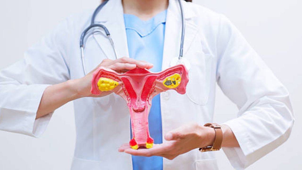 Health Update: Ovarian Cyst म्हणजे कॅन्सर नाही? रजोनिवृत्तीपूर्वी अंडाशयातील गाठींबाबत जाणून घ्या सविस्तर माहिती