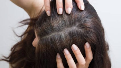 Hair Care: पांढऱ्या केसांसाठी कायमच केमिकल हेअर डायचा वापर करता? केसांना लावा ‘या’ हिरव्या पानांचा रस, केस होतील काळेभोर