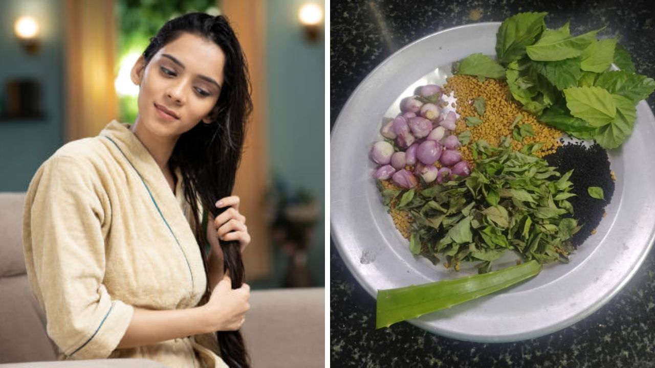 Hair Care Tips: केस गळून पातळ झाले आहेत? मग ‘या’ पदार्थांचा वापर करून घरीच तयार करा DIY Hair Oil, केस होतील घनदाट