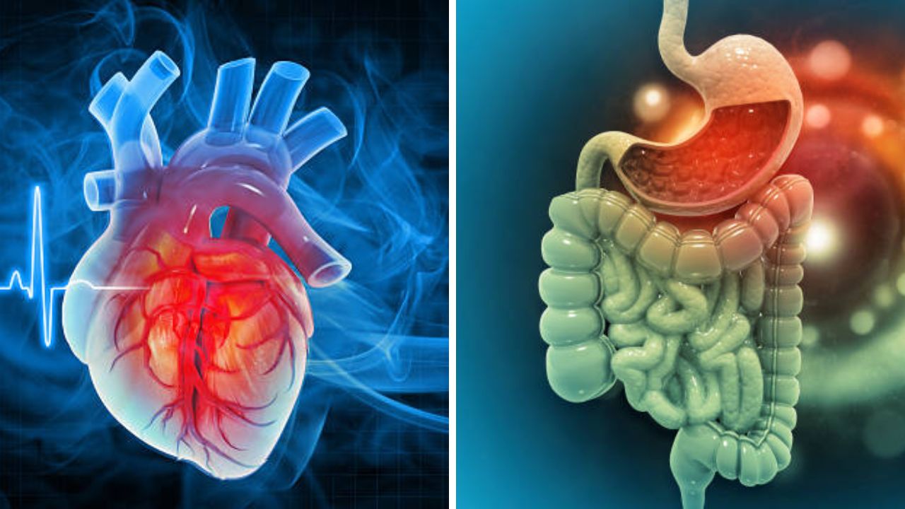 Heart Attack: गॅस समजून छातीत वाढलेल्या वेदनांकडे दुर्लक्ष करता? हार्ट अटॅक येण्याच्या आधी शरीरात दिसून येतात ‘ही’ गंभीर लक्षणे