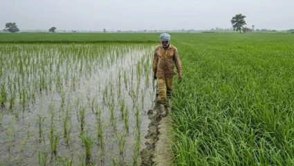Farmmers Impact On Kharif Crops : शेतकऱ्यांच्या उत्पादनावर घट, खरीप पिकांवर मोठा परिणाम…..