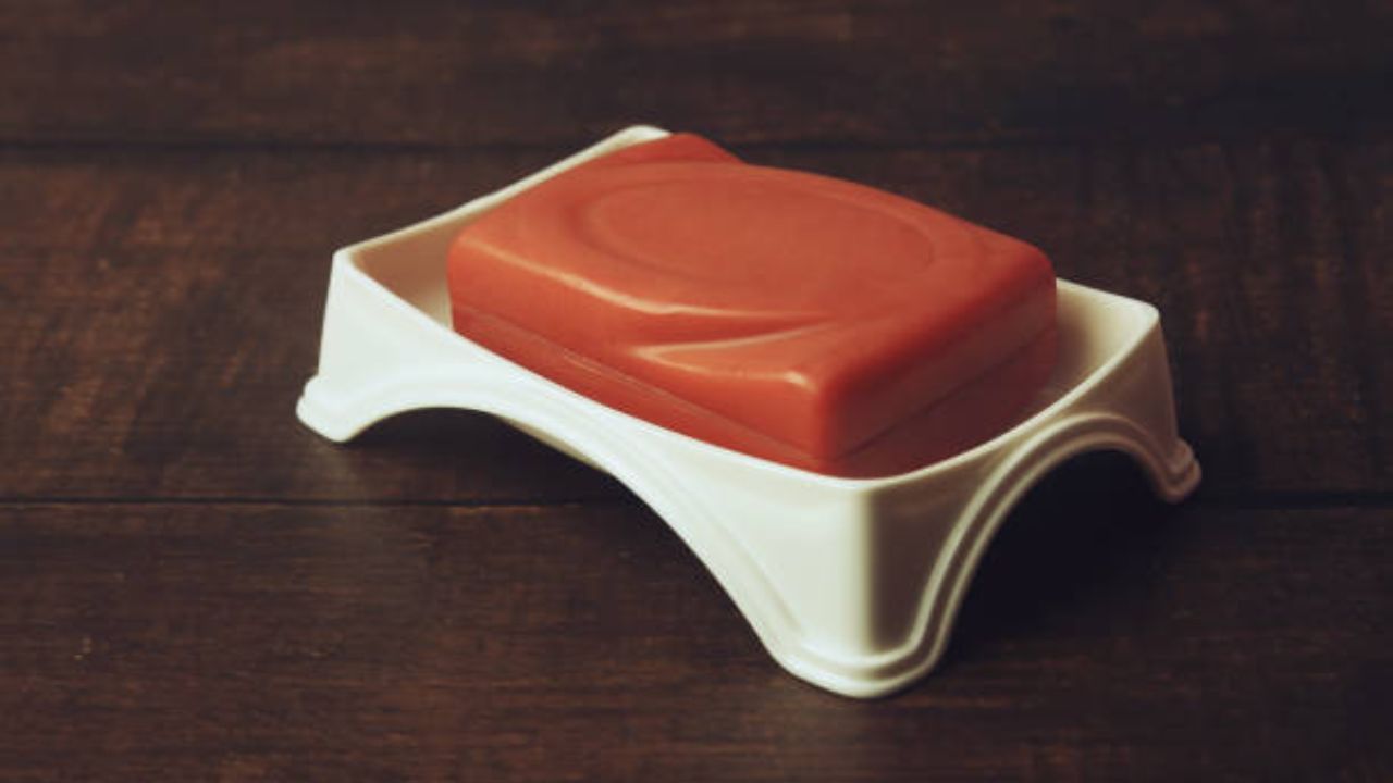 Soap Selection Tips: साबणामुळे त्वचा कोरडी आणि निस्तेज होतेय? त्वचेसाठी साबण निवडताना ‘या’ गोष्टींची घ्या काळजी