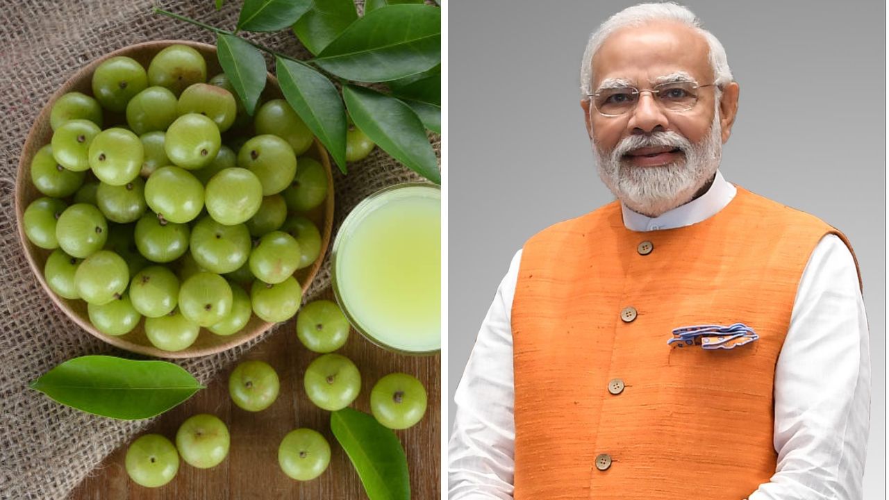 पंतप्रधान नरेंद्र मोदींनी दिला आवळा खाण्याचा सल्ला! शक्तिशाली घटकांनी समृद्ध असलेल्या पदार्थांचे सेवन केल्यास राहाल कायम निरोगी
