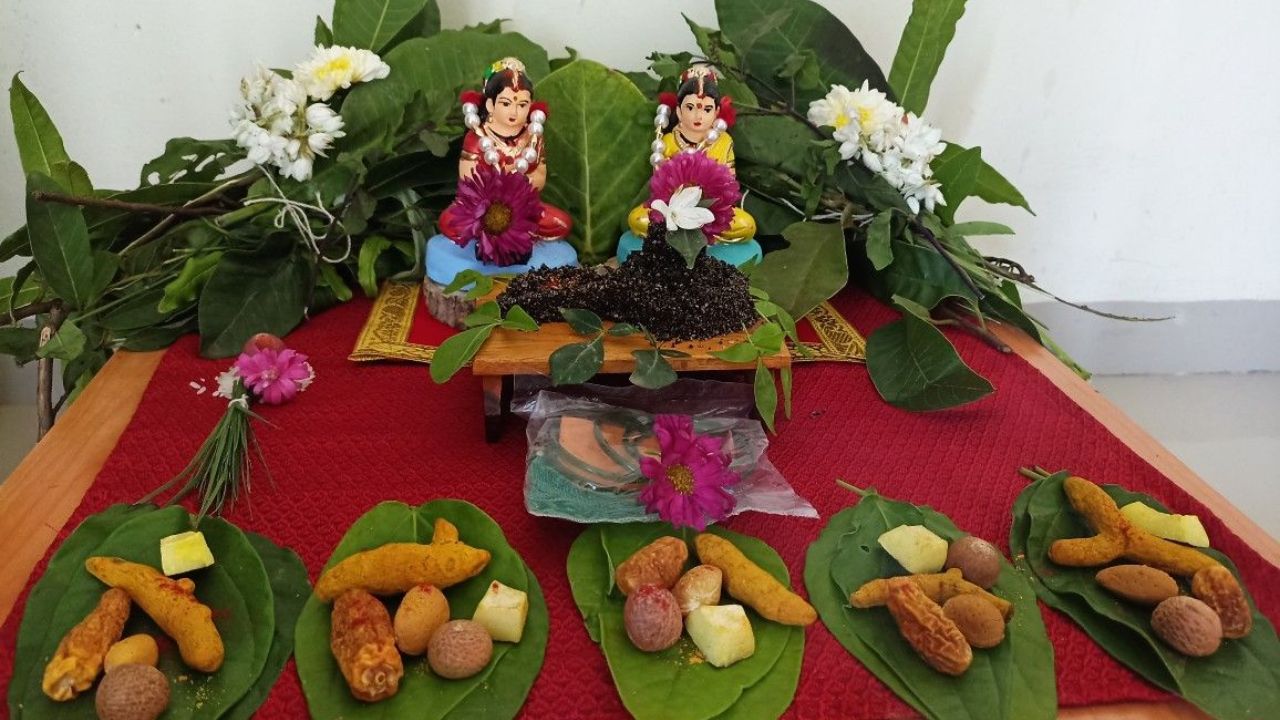 Hartalika 2026 : श्रद्धा आणि सौभाग्याचा सण हरितालिका! नातेवाईकांना द्या प्रेमळ आणि आनंददायी शुभेच्छा