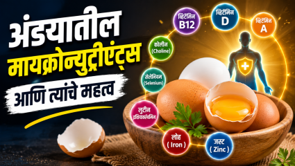 अंड्यांमध्ये कोणकोणते मायक्रोन्युट्रीएंट असतात? आणि ते शरीरासाठी कसे महत्त्वाचे असतात? जाणून घ्या