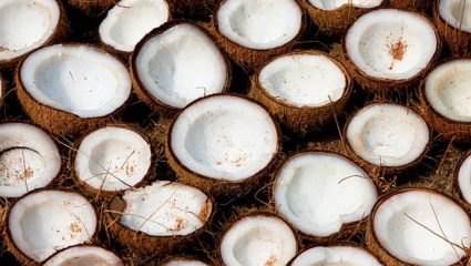 Easy Hacks: फोडलेला नारळ किती दिवस टिकतो? खोबर खराब होऊ नये म्हणून ‘या’ पद्धतीने करून ठेवा स्टोर
