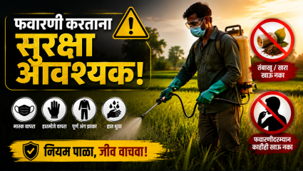 Bhandara News: फवारणीच्या विषबाधेने मृत्यू नाही; दोन शेतकरी किरकोळ अस्वस्थ! कृषी विभागाने केले फवारणीचे योग्य नियोजन