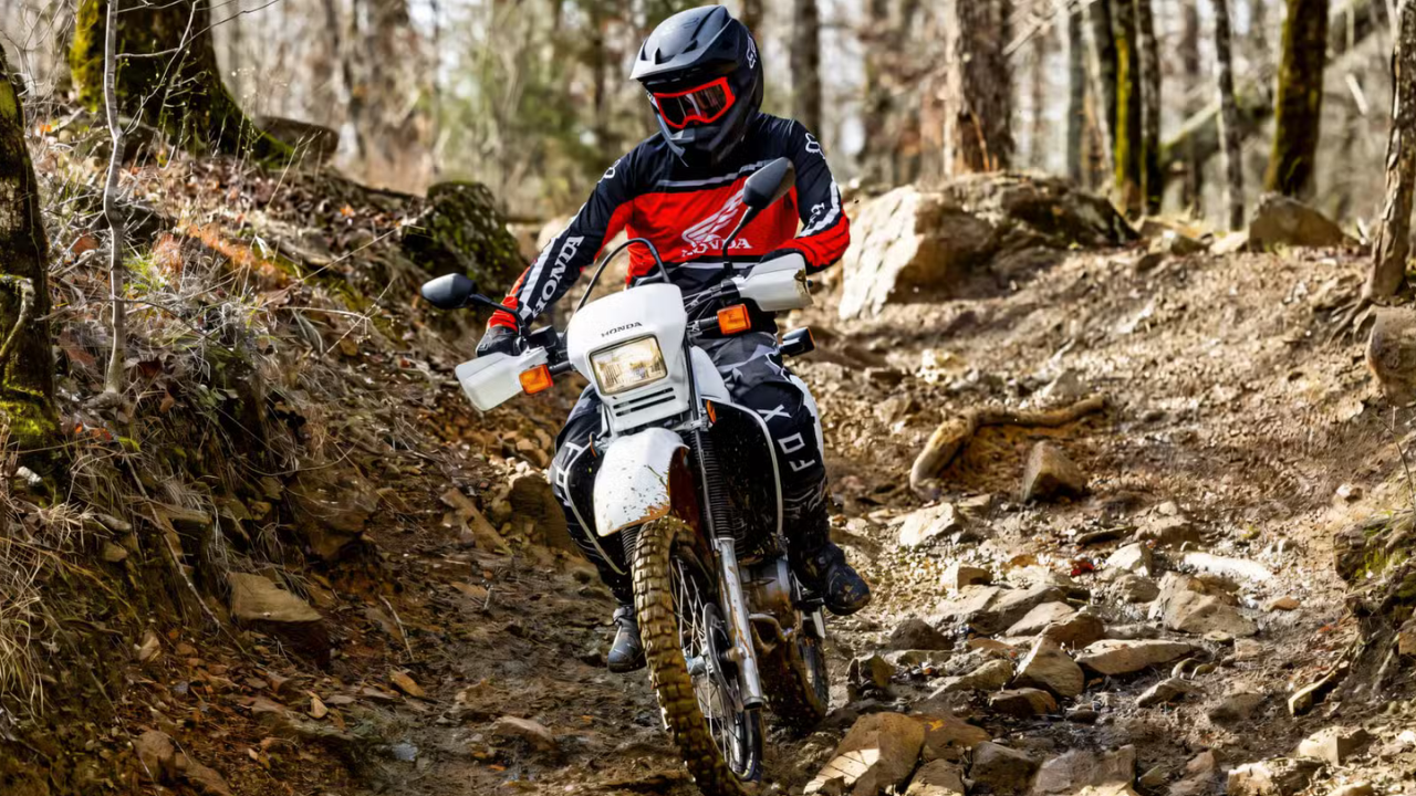 होंडा Shadow Phantom: या क्रूझरमध्ये 745cc V-Twin इंजिन, लो सीट आणि रिलॅक्स्ड रायडिंग पोझिशन मिळते. ब्लॅक फिनिश आणि साध्या डिझाइनमुळे तिला वेगळी ओळख मिळते, तर तिचे इंजिन आरामदायी क्रूझिंगसाठी योग्य आहे.