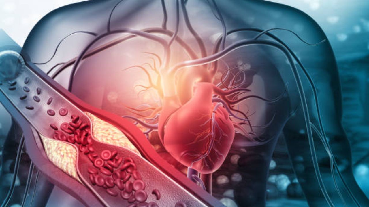 World Heart Day:‘नॉर्मल’ रेंजच्या पलीकडे वैयक्तिक LDL-C ध्येय माहित असणे हृदयाच्या आरोग्यासाठी का आहे महत्त्वाचे