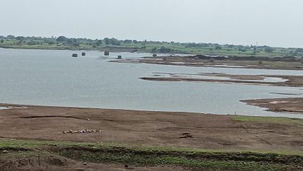 Water Storage Crisis: पाणीटंचाईचे संकट गडद! धरणे-तलाव कोरडे; २२६ पैकी केवळ ५ प्रकल्पांत ५० टक्क्यांहून अधिक साठा