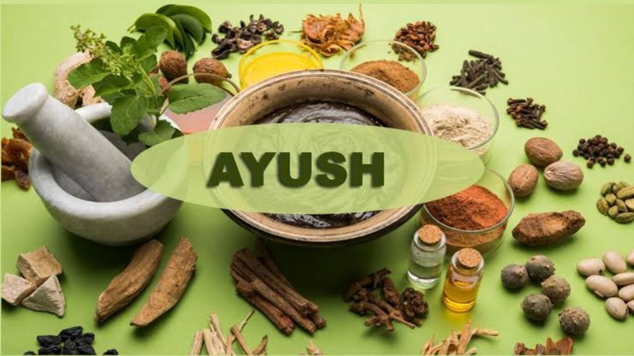 AYUSH Admission 2026 : मेडिकलची पहिली प्रवेश यादी जाहीर; राज्यातील १०,५१९ विद्यार्थ्यांना मेडिकल कॉलेजमध्ये प्रवेश मिळणार!
