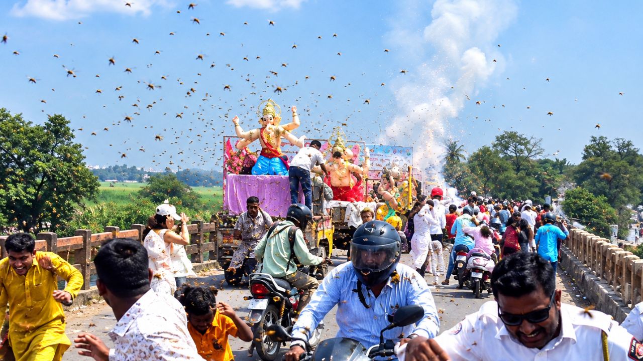 Kolhapur Ichalkaranji Ganesh Visarjan: फटाक्यांच्या आतषबाजीमुळे मधमाशांचा हल्ला, भाविकांची पळापळ