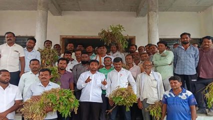 Buldhana News: पीकविम्याची नुकसान भरपाई मिळावी, तालुकात कोरडा दुष्काळ जाहीर करण्याची मागणी; शेतकऱ्यांचे तहसीलपुढे आक्रोश आंदोलन