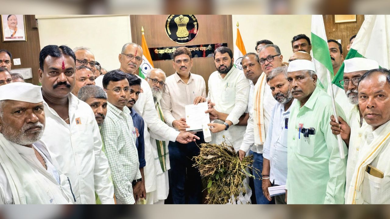 Buldhana News: सोयाबीनची झाडे फेकले जिल्हा कचेरीपुढे, शेतकरी संघटनेचा एल्गार; हेक्टरी १ लाखाच्या नुकसानभरपाईची मागणी
