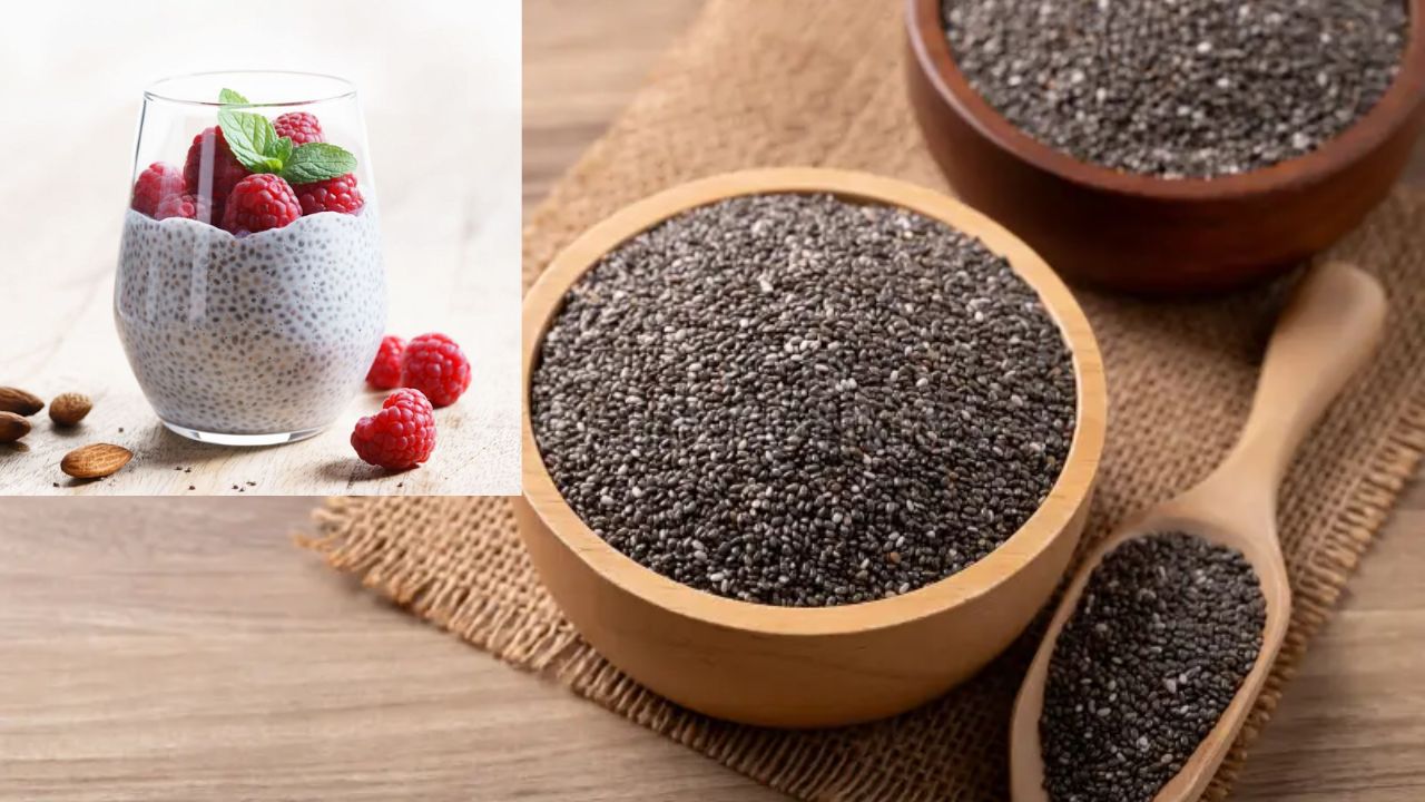 Chia Seeds: चिया सीड्स खाण्याचा ट्रेंड होतोय व्हायरल; खरंच आरोग्यासाठी फायदेशीर? जाणून घ्या ‘हे’ ३ मोठे फायदे