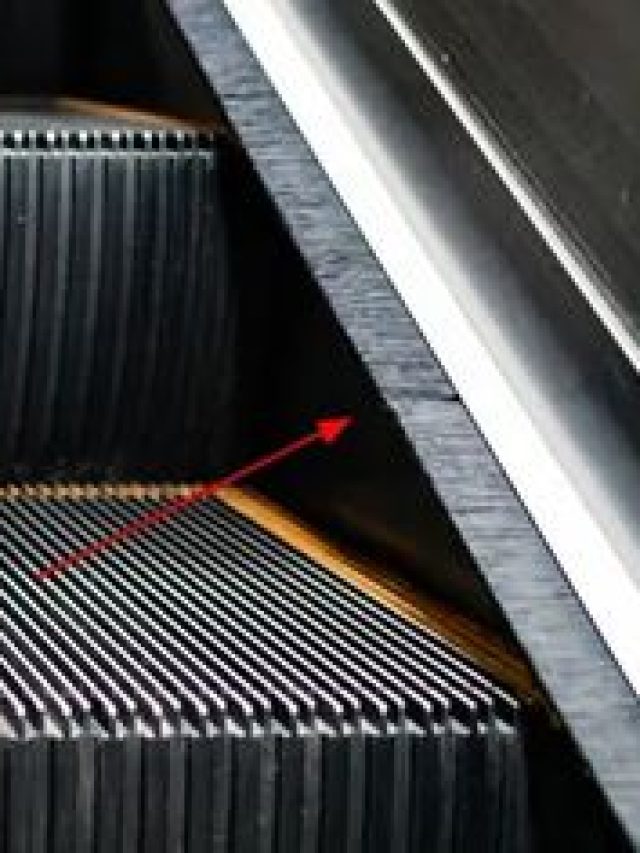 Escalator च्या बाजूला असलेल्या Brush चं खरं काम काय? 99% लोकांना माहित नाही!