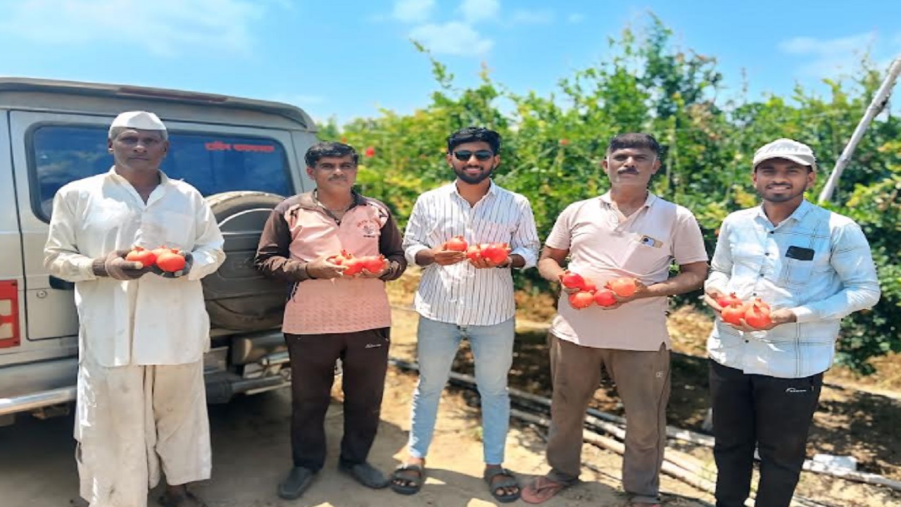 तीन एकर डाळिंब बागेतून लाखोंचे उत्पन्न; माळेगाव येथील जाधव बंधूंनी शेतीतून साधली आर्थिक प्रगती