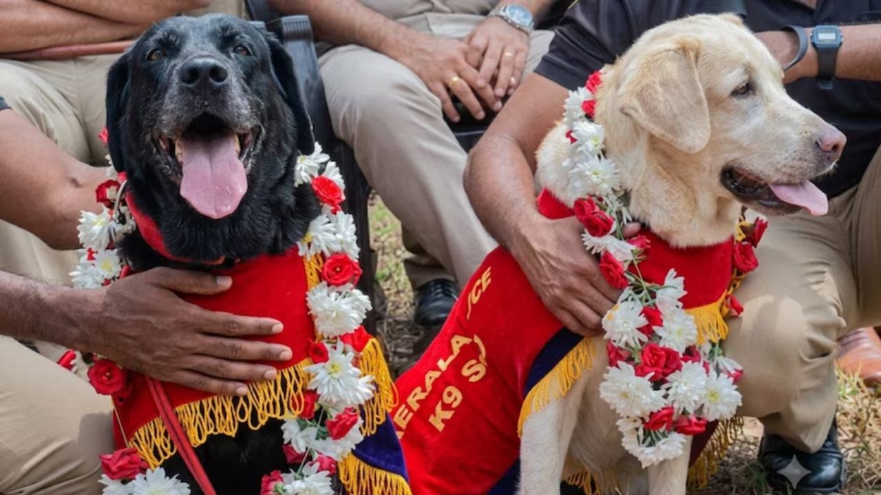 Kerala Police K9 Dogs: