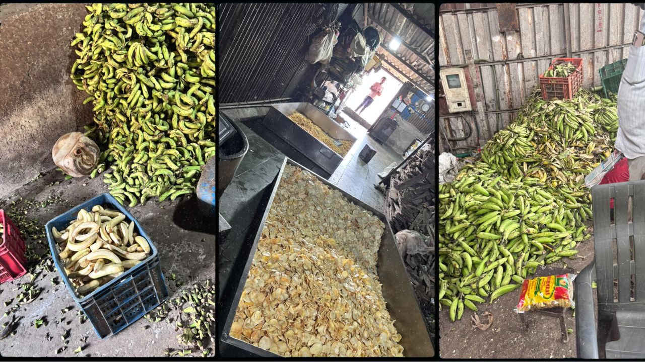 FDA News: घाणेरडी फरशी, झुरळे-उंदीर अन् वापरलेले तेल! फरसाण-वेफर्स बनवणाऱ्या 11 आस्थापनांवर FDAची धडक कारवाई