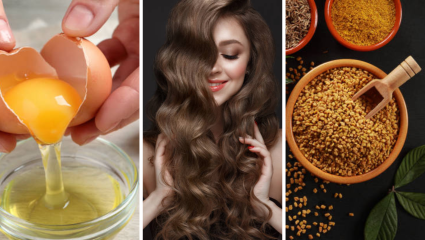 Hair Care: मेथी दाणे की अंडं? कोणता DIY हेअर मास्क केसांना बनवतो अधिक चमकदार