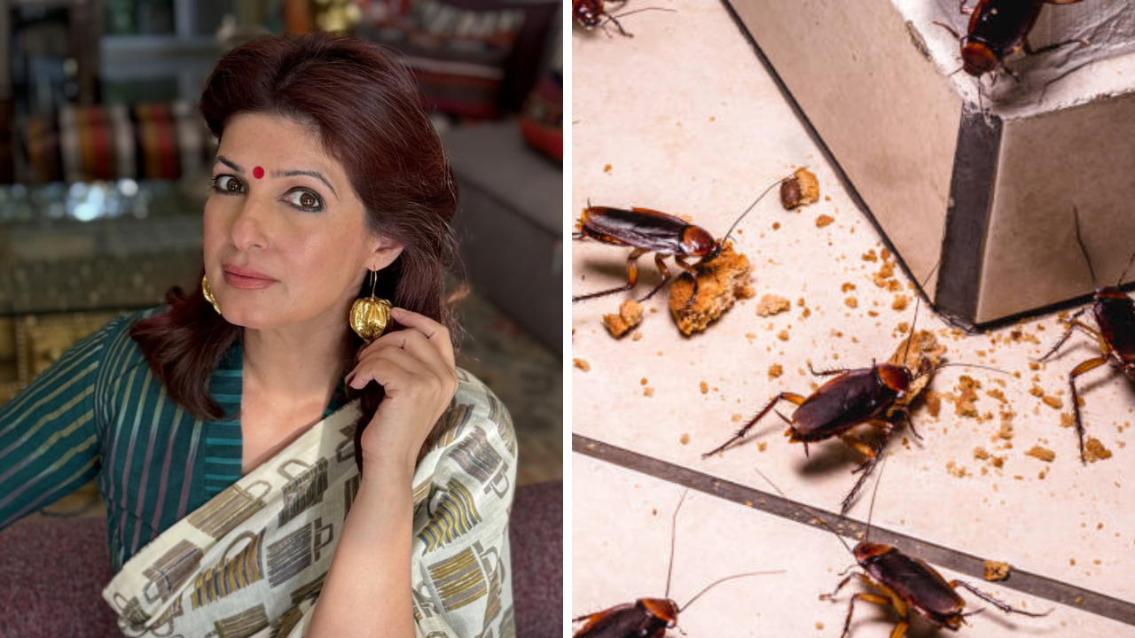 DIY Pest Spray: ट्विंकल खन्नाचा देशी जुगाड, झुरळांना सळो की पळो सोडून करण्याची नामी युक्ती