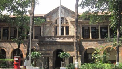 Mumbai Veterinary College: मुंबई पशुवैद्यकीय महाविद्यालयात नोकरीची संधी; ‘या’ दिवशी होणार थेट मुलाखतीद्वारे भरती