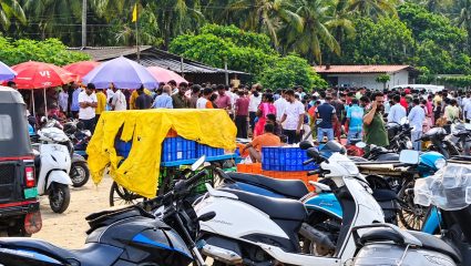 Sindhudurg To Buy Fish : गणपती विसर्जनानंतर सिंधुदुर्गात मासे खरेदीसाठी मोठी गर्दी