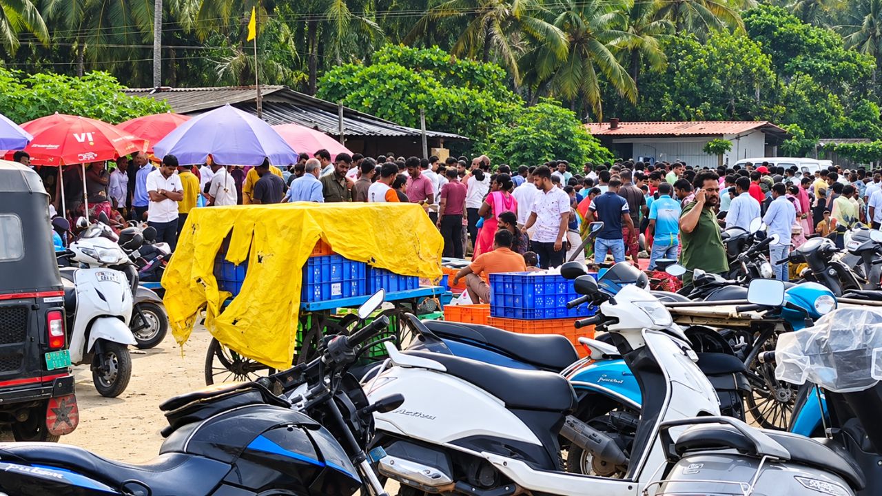 Sindhudurg To Buy Fish : गणपती विसर्जनानंतर सिंधुदुर्गात मासे खरेदीसाठी मोठी गर्दी ….