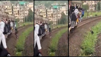 Mumbai Local : पुन्हा लोकलचा जीवघेणा प्रवास! सकाळच्या गर्दीत धडकी भरवणारी घटना, दिवा-मुंब्रादरम्यान महिला थेट पडली रुळावर; Video