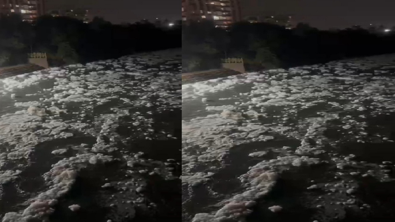 Pavana River Pollution : पवना नदी पुन्हा फेसाळली, रासायनिक सांडपाण्यामुळे जलचर धोक्यात; प्रशासनाचे दुर्लक्ष