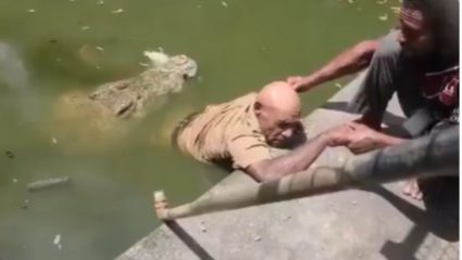 ‘मित्र’ समजून भरवत होता चिकन, मगरीने जबड्यात पकडले दोन्ही पाय; १ तास चालला संघर्ष…घटनेचा Video Viral