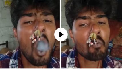अजब-गजब! व्यक्तीने नाकात घातल्या ८ बिड्या अन् नाकातून काढला धूर, दृष्य पाहून यूजर्स चक्रावले; Video Viral
