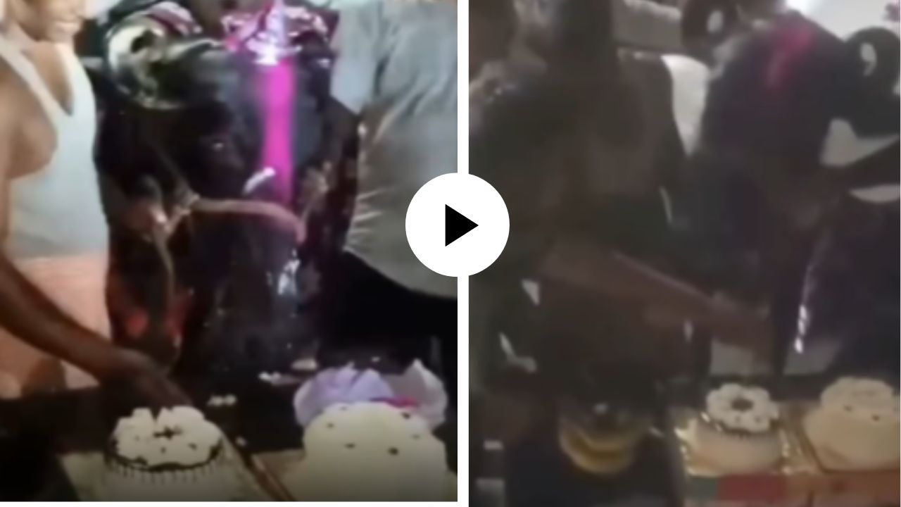 माणसांची पार्टी सोडा, ‘बसंती’चा VIP वाढदिवस पाहा! डोक्यावर टोपी, गळ्यात माळ अन् म्हशीसाठी कापला केक; Video Viral