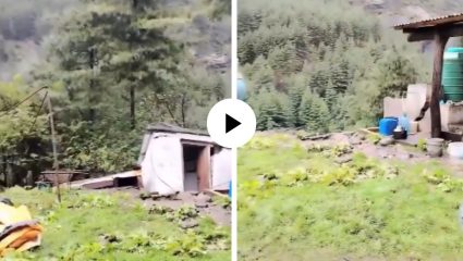 भीषण लँडस्लाईडने नेपाळमध्ये खळबळ! एका सेकंदात पत्त्यांसारखी कोसळली घरे; थरारक Video Viral