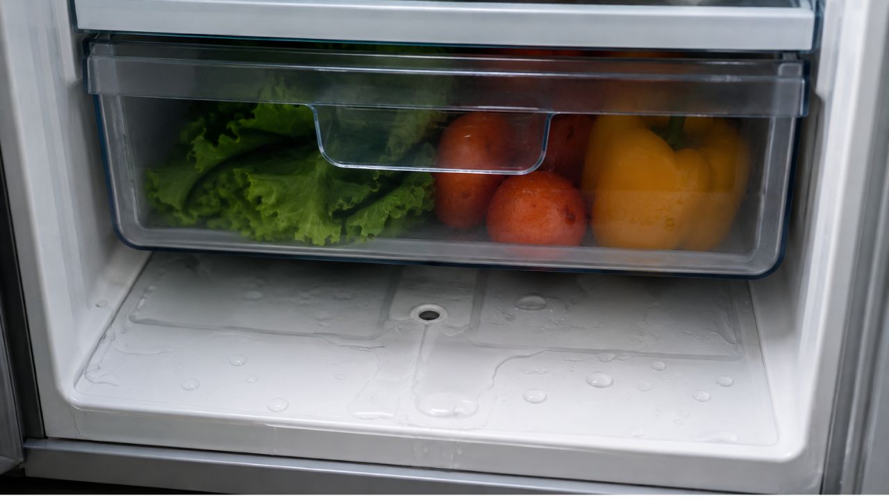 Fridge Water Leakage: फ्रीजमधून सतत पाणी गळतंय? मेकॅनिकला बोलावण्यापूर्वी ‘हे’ सोपे उपाय करा