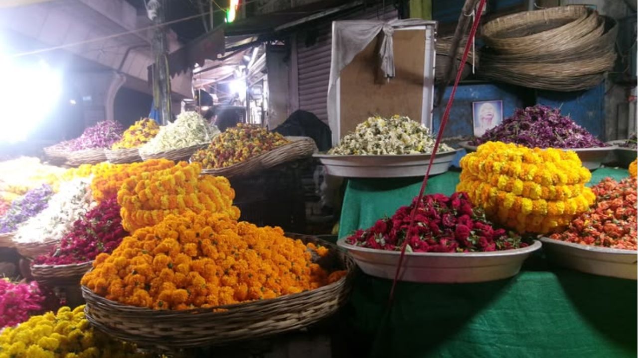 गणेशोत्सवापूर्वीच झेंडूच्या फुलांचे भाव कोसळले; ८० रुपयांचा किलो थेट १० रुपयांवर!