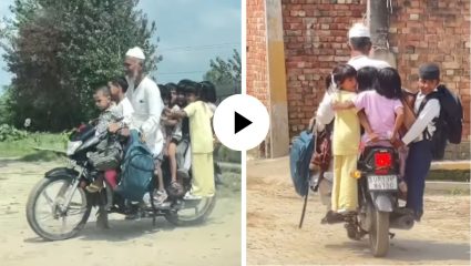 बाईक की मिनी बस? एकाच गाडीवर डझनभर मुलांना बसवून बाईकस्वाराचा जीवघेणा प्रवास; Video Viral
