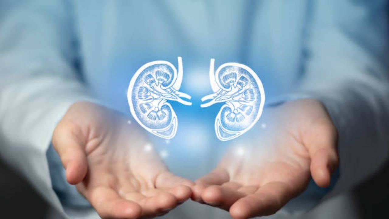 ‘पायांना सूज अन् त्वचेला खाज’ ही असू शकते Kidney Disease ची लक्षणे, चुकूनही करू नका दुर्लक्ष