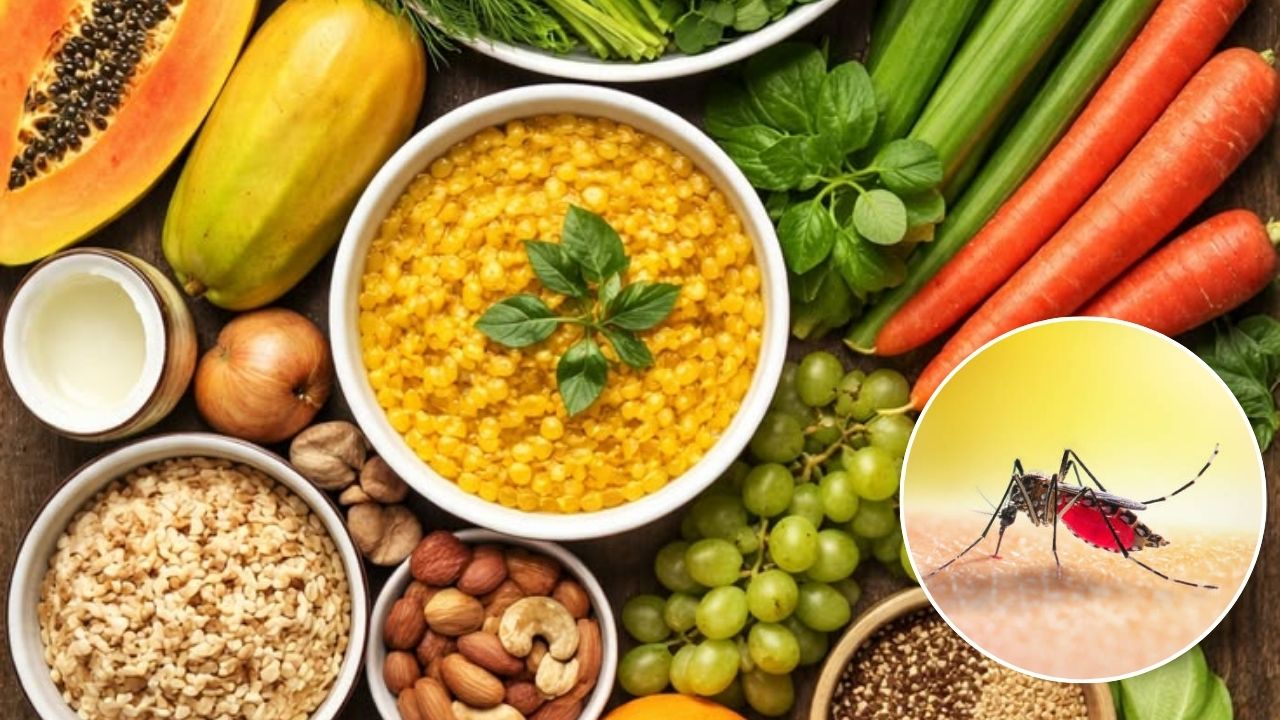 डेंग्यूपासून लवकर रिकव्हरीसाठी खा हे सुपरफूड; डाएटमध्ये करा या पदार्थांचा समावेश